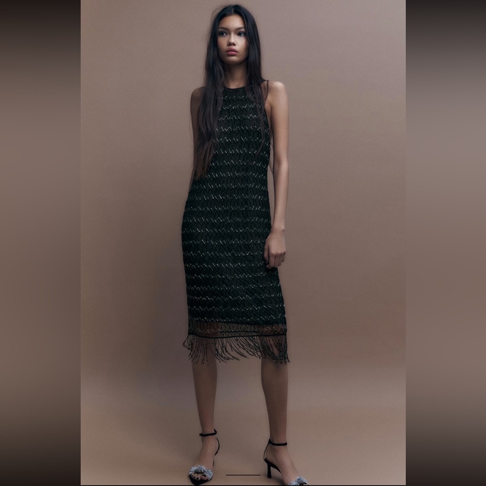 NWT Zara EMBROIDERED DRESS WITH BEADING